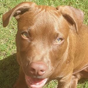 Meet your Posher, Karla